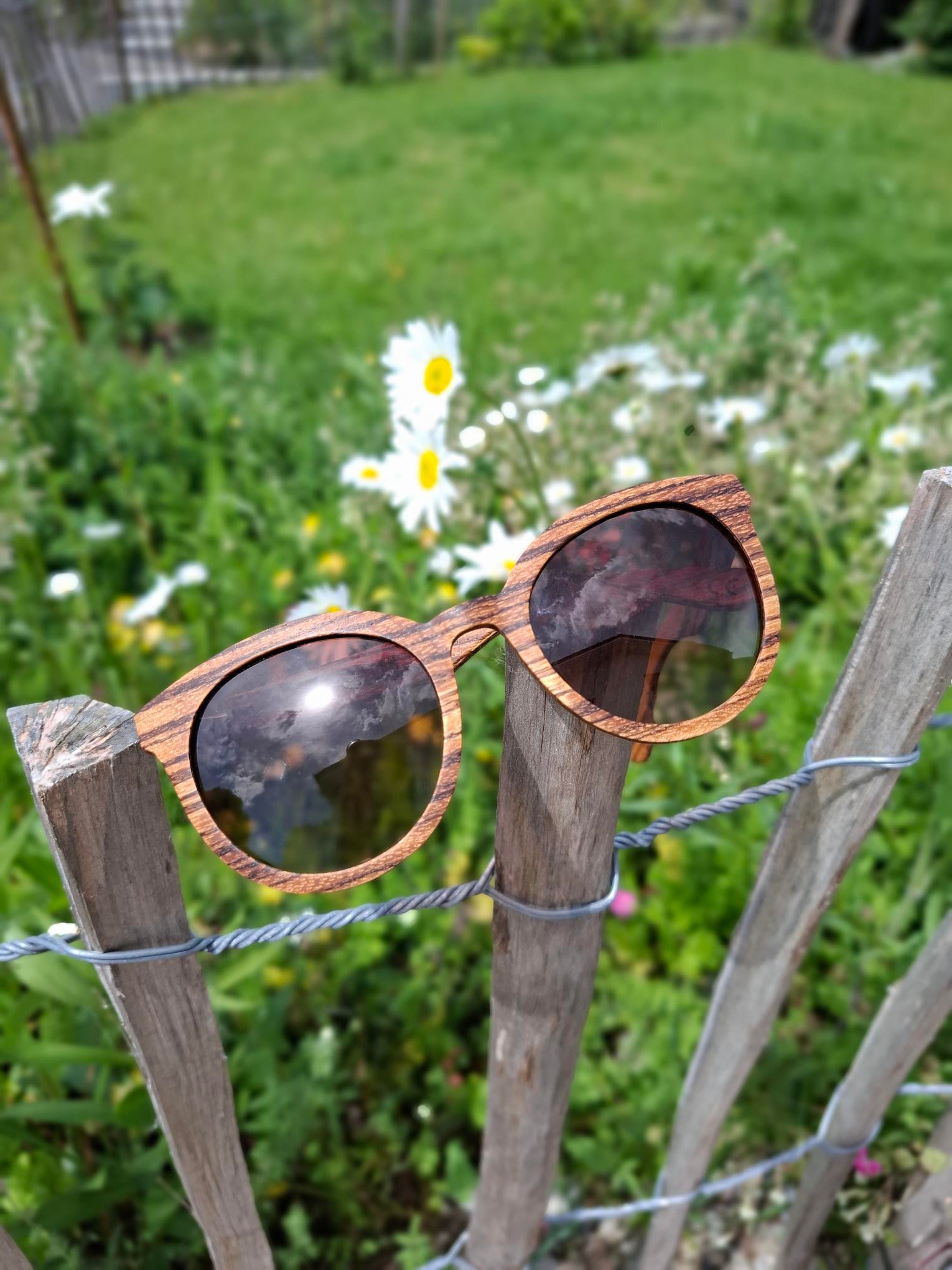 Sonnenbrille Olivenholz