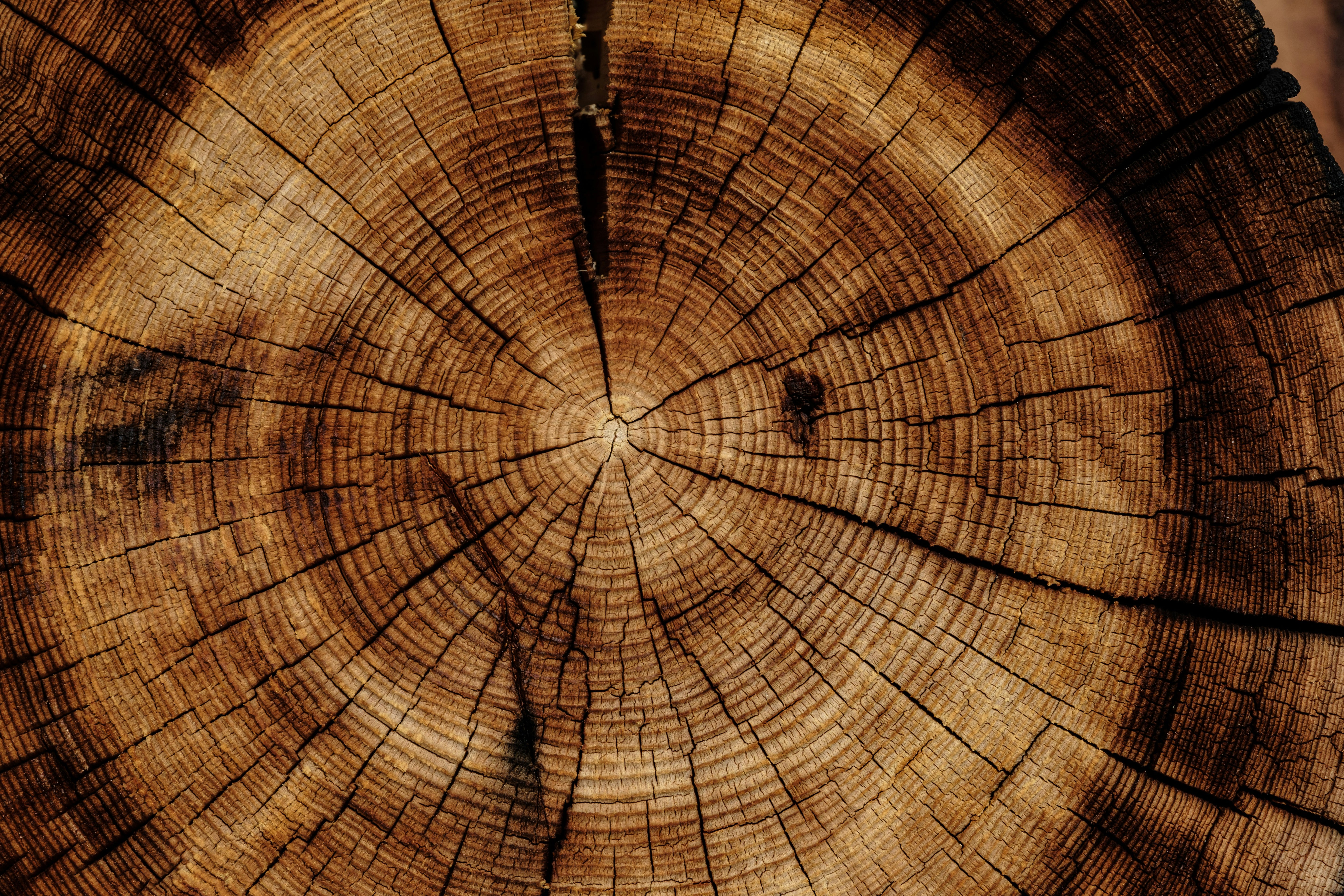 Holzspiele